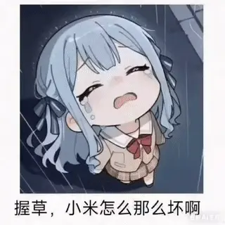 📷 fuckxiaomiwhysobad